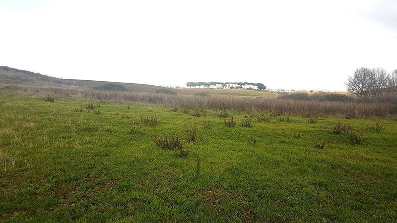 Immagine di TERRENO VIA DI CASAL BOCCONE – ROMA