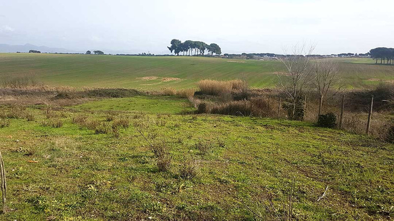 Immagine di TERRENO VIA DI CASAL BOCCONE – ROMA