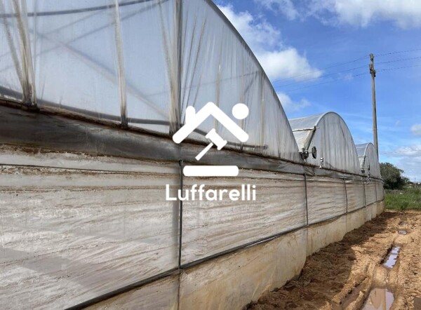 TERRENO VIA DI CAVALLO MORTO - ANZIO — foto 9