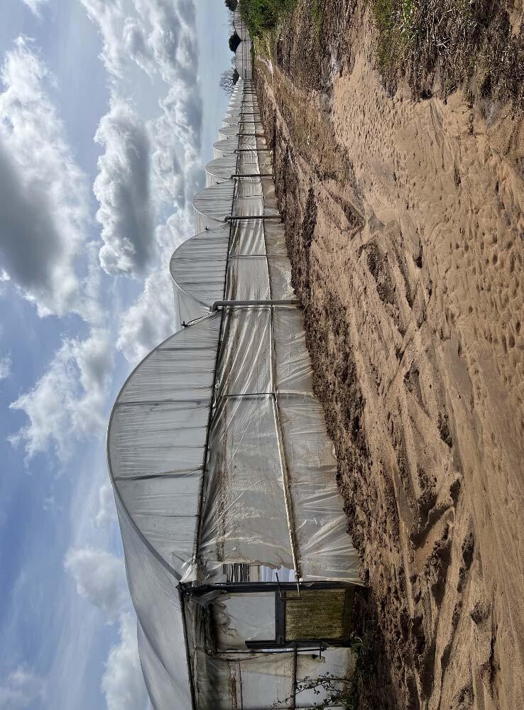 TERRENO VIA DI CAVALLO MORTO - ANZIO — foto 4
