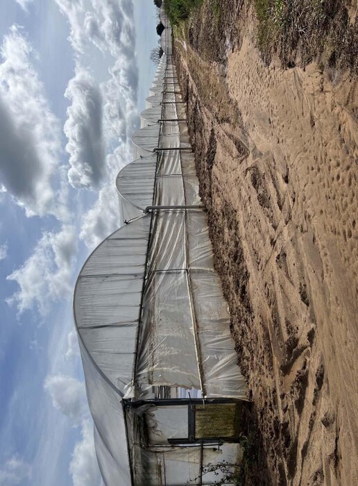 Immagine di TERRENO VIA DI CAVALLO MORTO – ANZIO