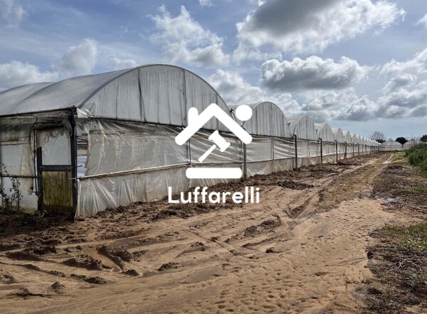 TERRENO VIA DI CAVALLO MORTO - ANZIO — foto 6