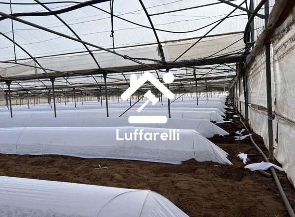 TERRENO VIA DI CAVALLO MORTO - ANZIO — foto 5