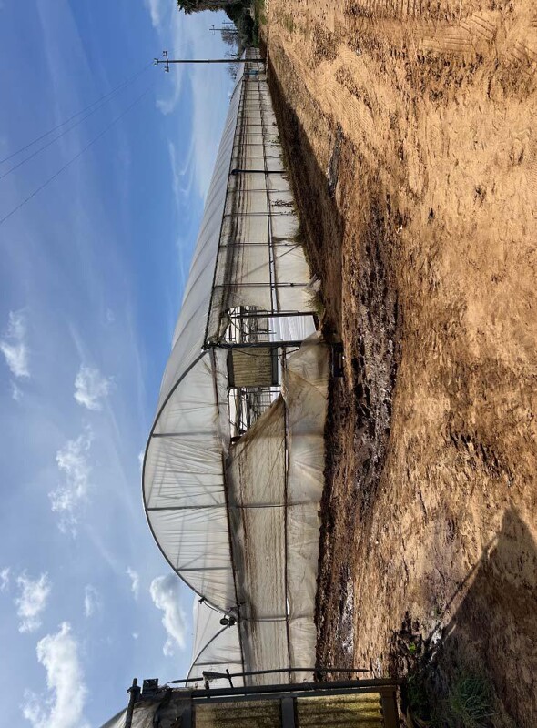 Immagine di TERRENO VIA DI CAVALLO MORTO – ANZIO