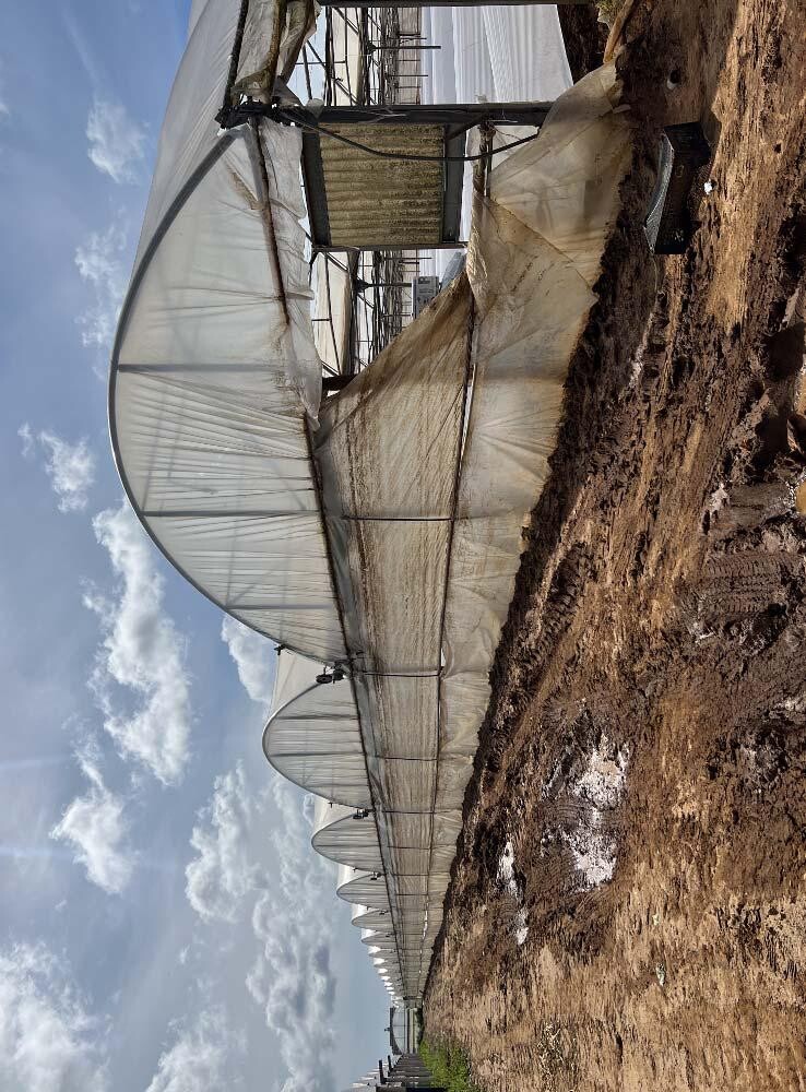 TERRENO VIA DI CAVALLO MORTO - ANZIO — foto 7