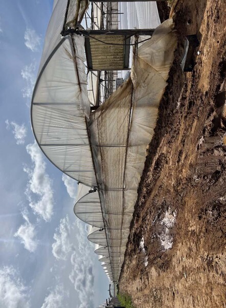 TERRENO VIA DI CAVALLO MORTO - ANZIO — foto 7