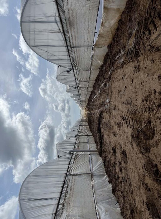 Immagine di TERRENO VIA DI CAVALLO MORTO – ANZIO