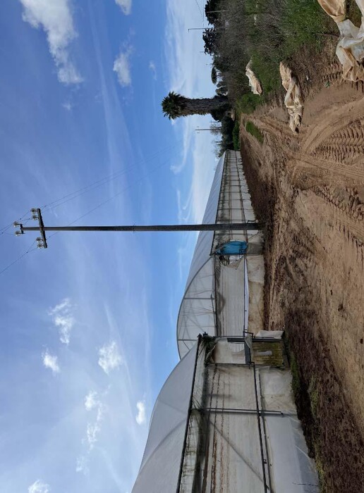 Immagine di TERRENO VIA DI CAVALLO MORTO – ANZIO