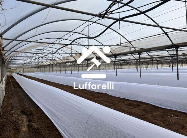 TERRENO VIA DI CAVALLO MORTO - ANZIO — foto 4
