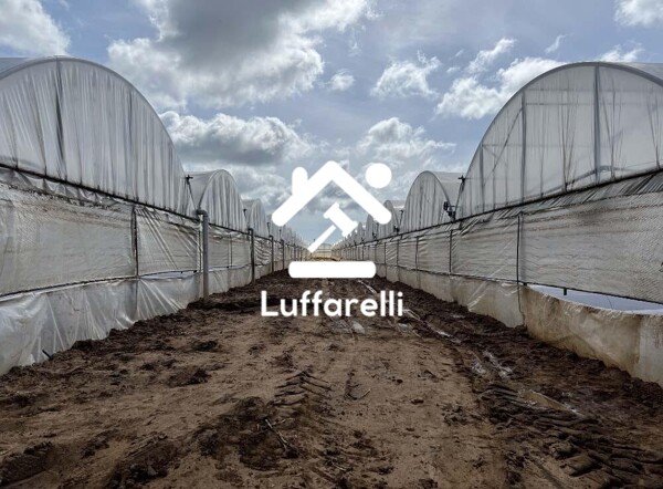 TERRENO VIA DI CAVALLO MORTO - ANZIO — foto 3