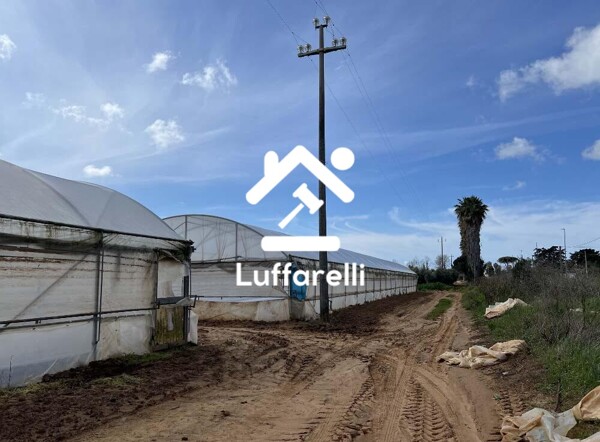 TERRENO VIA DI CAVALLO MORTO - ANZIO — foto 2