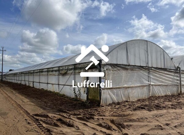 TERRENO VIA DI CAVALLO MORTO - ANZIO — foto 7