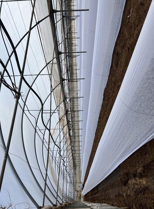 Immagine di TERRENO VIA DI CAVALLO MORTO – ANZIO