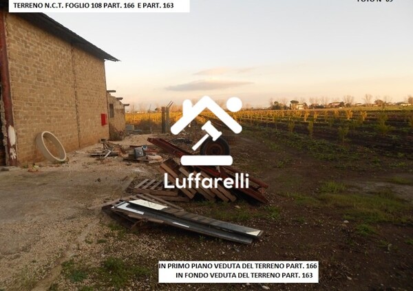 APPARTAMENTO STRADA DELL'UCCELLARA N.28 - LATINA — foto 3