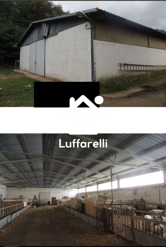 Immagine di STRUTTURE AGRICOLE LOCALITÀ BERARDA – MONTALTO UFFUGO