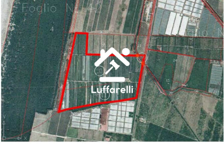 Immagine di TERRENO LOCALITA MODDONE – MEZZA PRAIA – CURINGA