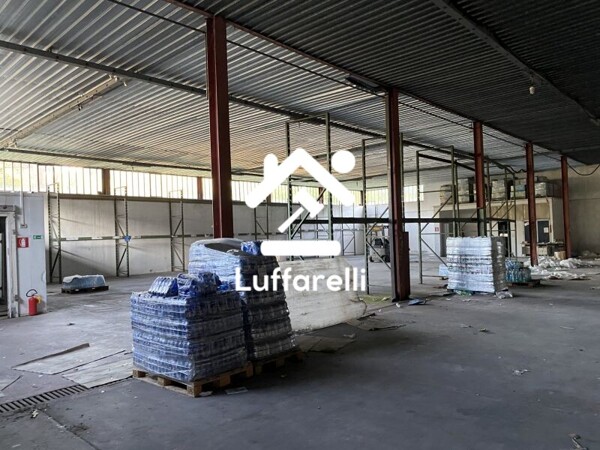 CAPANNONE / IMMOBILI INDUSTRIALI LOCALITÀ FONTE CUPA - FONTANA LIRI — foto 3
