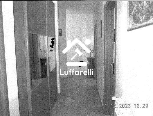 Immagine di CASA / VILLA VIA COLLE OTTONE ALTO – VELLETRI