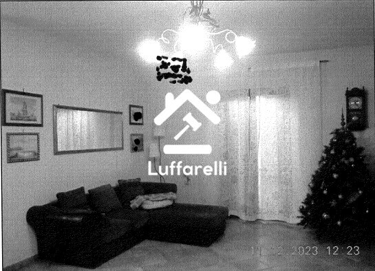 Immagine di CASA / VILLA VIA COLLE OTTONE ALTO – VELLETRI