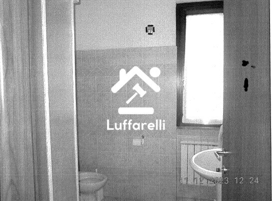 Immagine di CASA / VILLA VIA COLLE OTTONE ALTO – VELLETRI