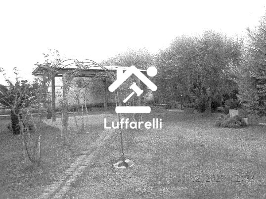 Immagine di CASA / VILLA VIA COLLE OTTONE ALTO – VELLETRI