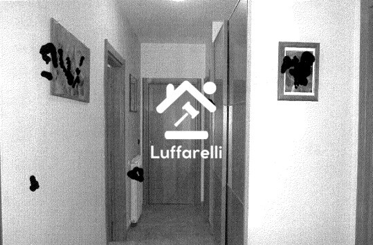 Immagine di CASA / VILLA VIA COLLE OTTONE ALTO – VELLETRI