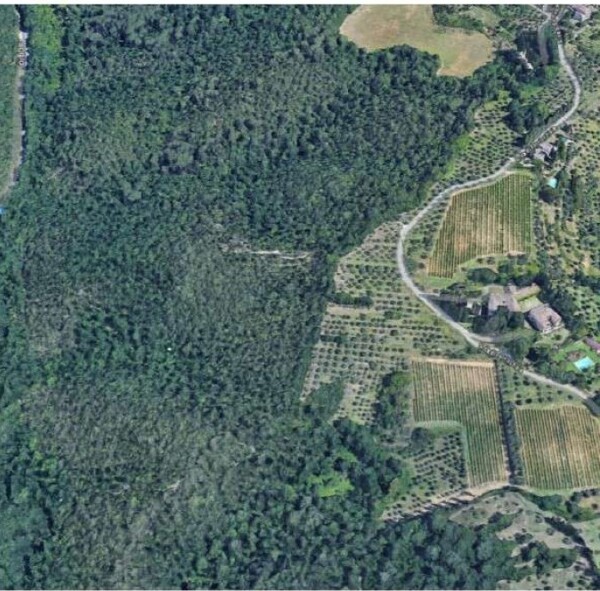 TERRENO LOCALITÀ FORNICCHIAIA-FERRATORE POGGIO LA LECCIA - SIENA