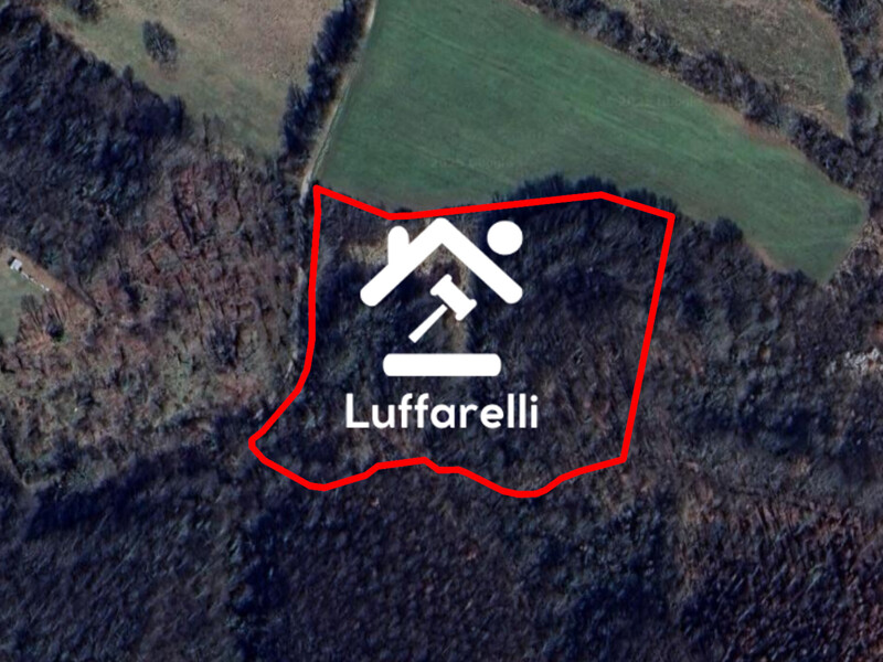 Immagine di TERRENO LOCALTIA COLLESPINA – COLLI SUL VELINO