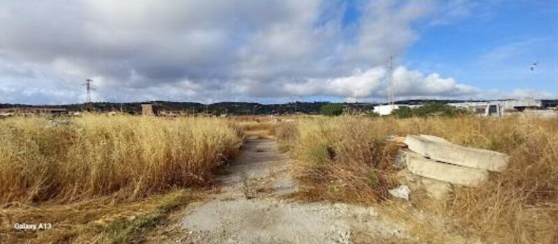 Immagine di TERRENO LOC. I BUOI. – SANTA MARINELLA