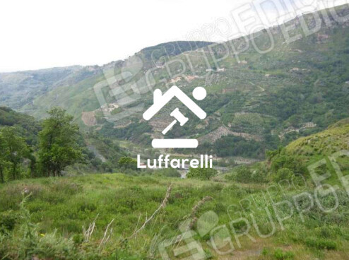 Immagine di TERRENO LOCALITÀ TIMPE ROSSE – FEROLETO ANTICO