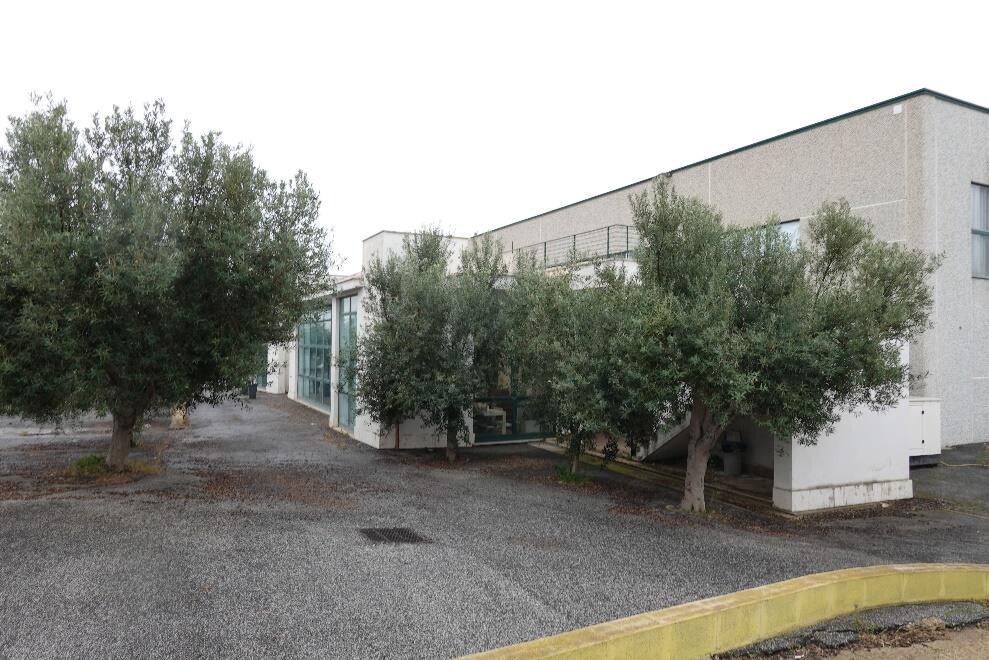 Immagine di CAPANNONE / IMMOBILI INDUSTRIALI VIA ALBERTO LA ROSA – CIVITAVECCHIA