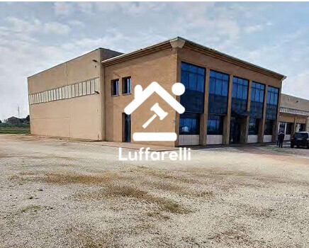 Immagine di CAPANNONE / IMMOBILI INDUSTRIALI STRADA ABETONE BRENNERO N. 19 – OSTIGLIA