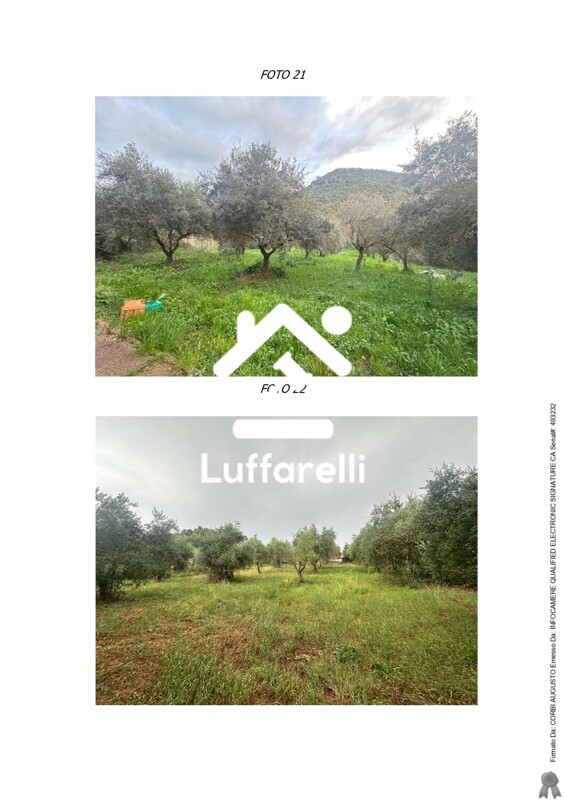 Immagine di CASA / VILLA VIA CASAL DEI LUPI – MAENZA