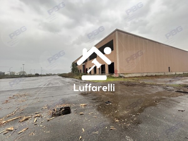 CAPANNONE / IMMOBILI INDUSTRIALI VIALE DELLE INDUSTRIE N. 54/56/58 - LATINA — foto 2