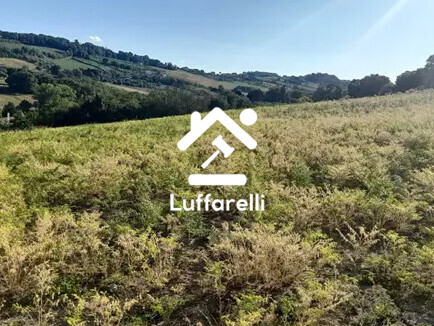Immagine di TERRENO VIA ALVATA 112 – POTENZA PICENA