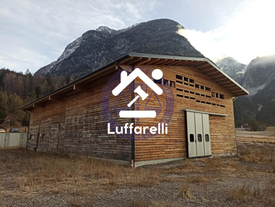 Immagine di CAPANNONE / IMMOBILI INDUSTRIALI VIA CIMA GOGNA – AURONZO DI CADORE