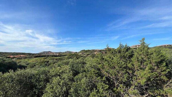 TERRENO LOCALITÀ LU PULTIDDOLU - SANTA TERESA GALLURA — foto 3
