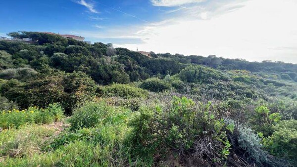 TERRENO LOCALITÀ LU PULTIDDOLU - SANTA TERESA GALLURA — foto 4