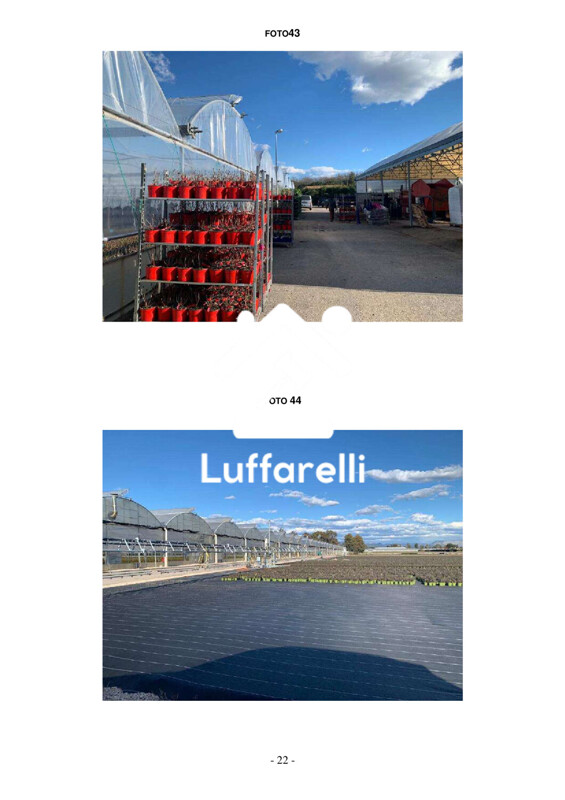 Immagine di FABBRICATO BORGO SAN DONATO – VIA S.S. 148 KM 85 – SABAUDIA