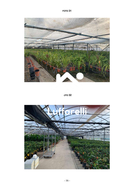 Immagine di FABBRICATO BORGO SAN DONATO – VIA S.S. 148 KM 85 – SABAUDIA