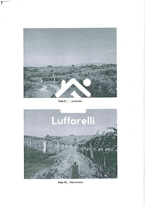 Immagine di STRUTTURE AGRICOLE VIA GROTTE DI QUATTRO MIGLIA NUMERO 27 – VELLETRI