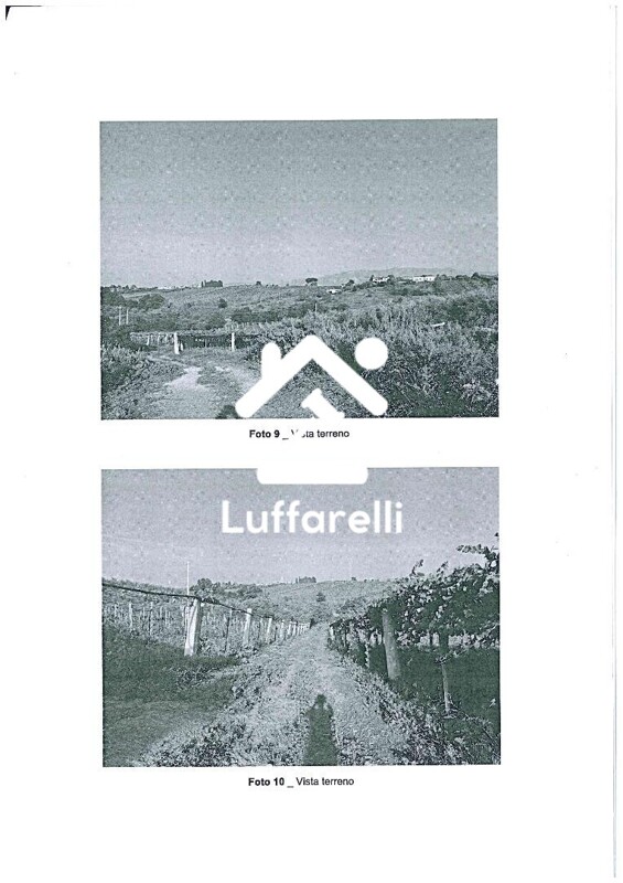 Immagine di STRUTTURE AGRICOLE VIA GROTTE DI QUATTRO MIGLIA NUMERO 27 – VELLETRI