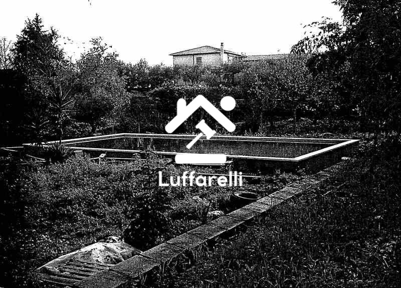 Immagine di STRUTTURE AGRICOLE VIA GROTTE DI QUATTRO MIGLIA NUMERO 27 – VELLETRI