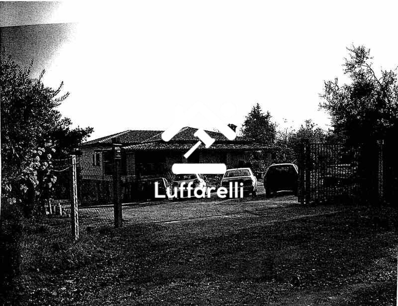 Immagine di STRUTTURE AGRICOLE VIA GROTTE DI QUATTRO MIGLIA NUMERO 27 – VELLETRI