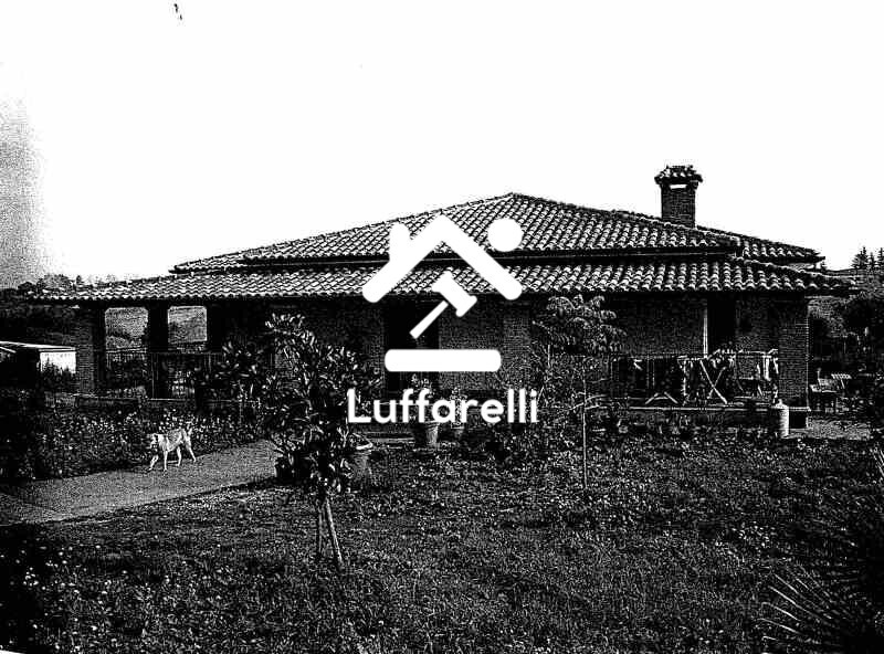 Immagine di STRUTTURE AGRICOLE VIA GROTTE DI QUATTRO MIGLIA NUMERO 27 – VELLETRI