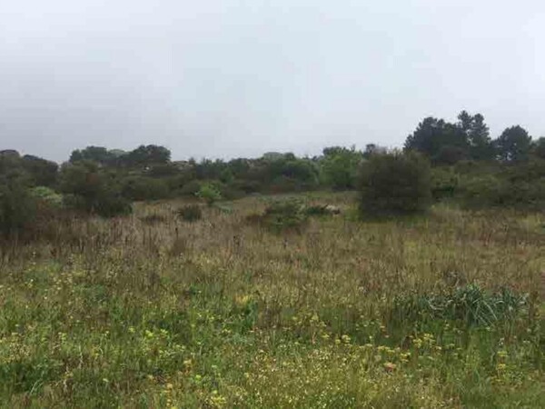 CASA / VILLA LOCALITÀ SCARACCIANA - TEMPIO PAUSANIA — foto 2