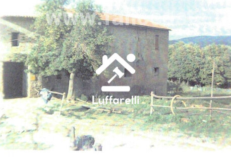 Immagine di TERRENO LOCALITÀ LE PRATA – SAN VITO ROMANO