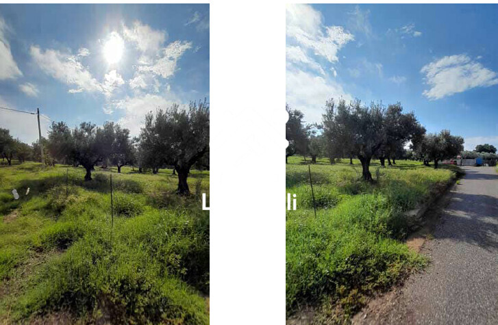 Immagine di TERRENO VIA DARIO LEONE – LAMEZIA TERME