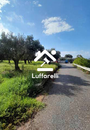 Immagine di TERRENO VIA DARIO LEONE – LAMEZIA TERME