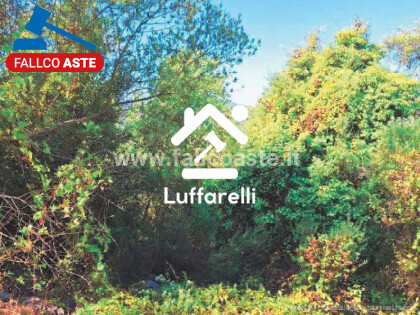 Immagine di TERRENO LOCALITÀ CASAL DEI LUPI – MAENZA